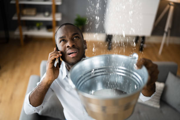 Best Ceiling water damage repair  in Hopewell, TN