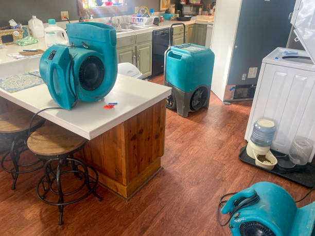 Best Emergency water damage restoration  in Hopewell, TN