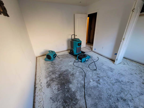 Best Sewage cleanup and water damage restoration  in Hopewell, TN