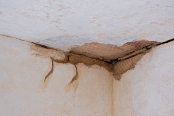 Best Water damage restoration experts  in Hopewell, TN