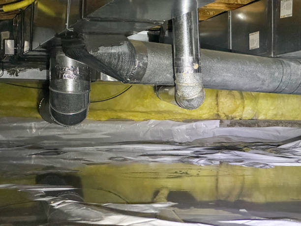 Best Professional water damage repair  in Hopewell, TN
