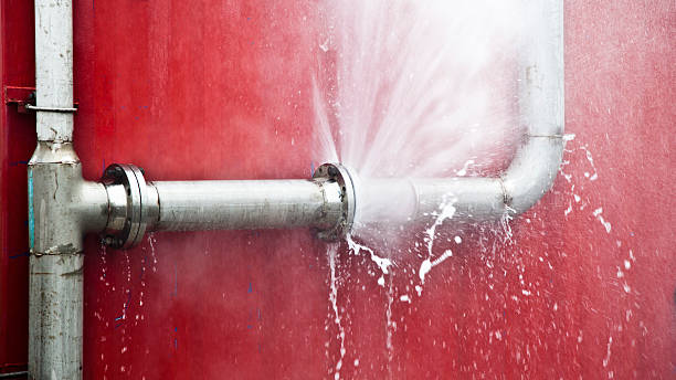 Best Flooded house restoration  in Hopewell, TN