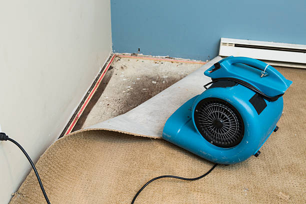 Best Flood restoration services  in Hopewell, TN